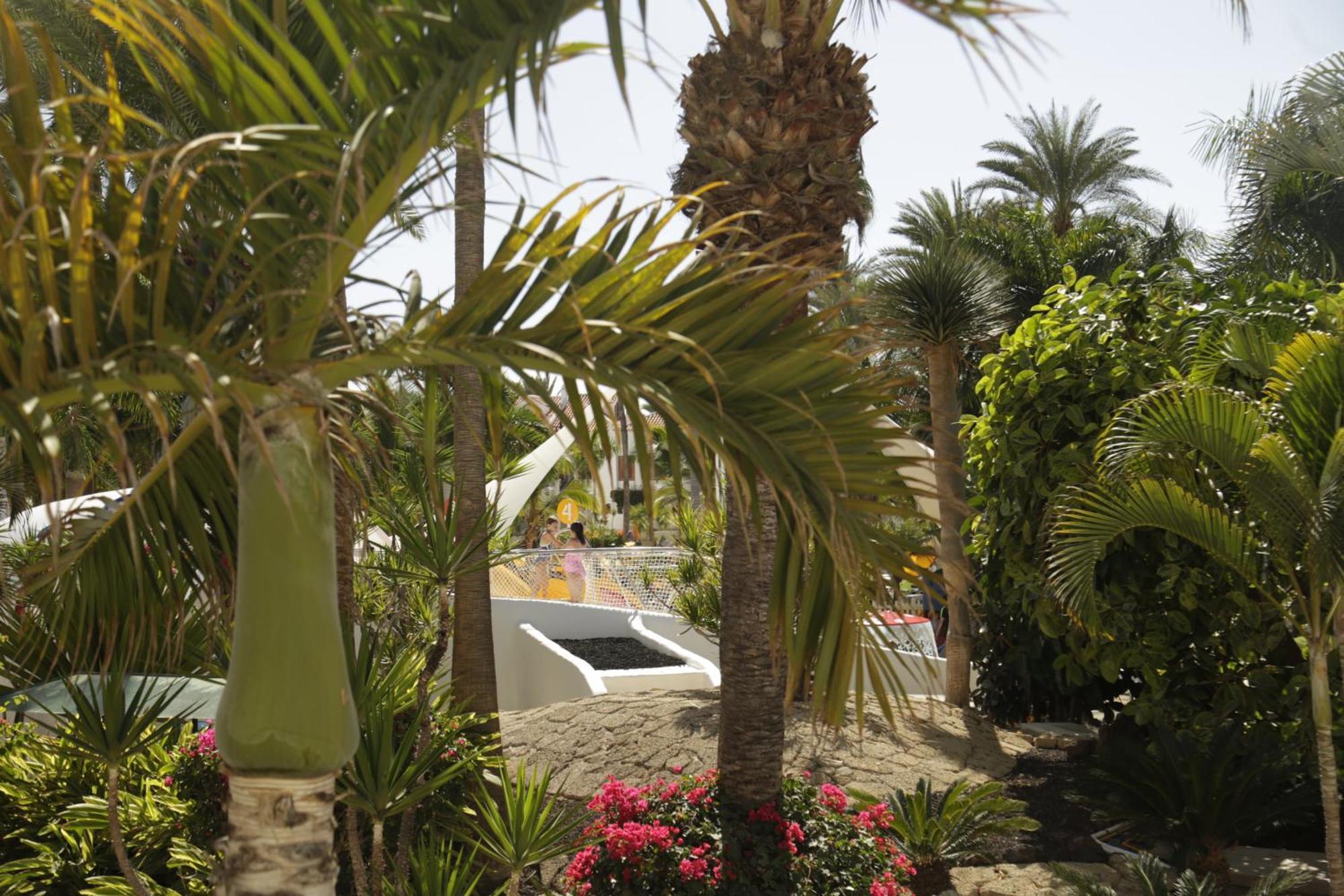 Parque Santiago 3 Luxery Apartment, Playa Las Americas, Arona, Tenerife Playa de las Américas Buitenkant foto